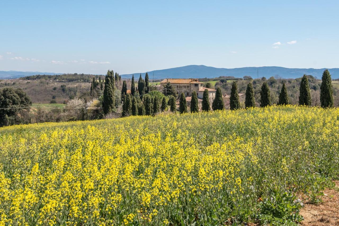 Appartamento Nonno Gino Montegabbro エクステリア 写真